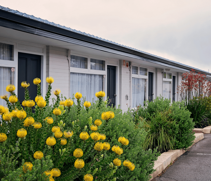 Ace-Albany-Property-Exterior-1